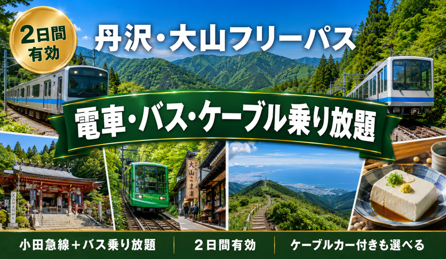 丹沢・大山フリーパス